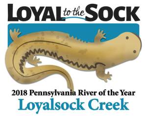 official-river-of-the-year-logo-cropped